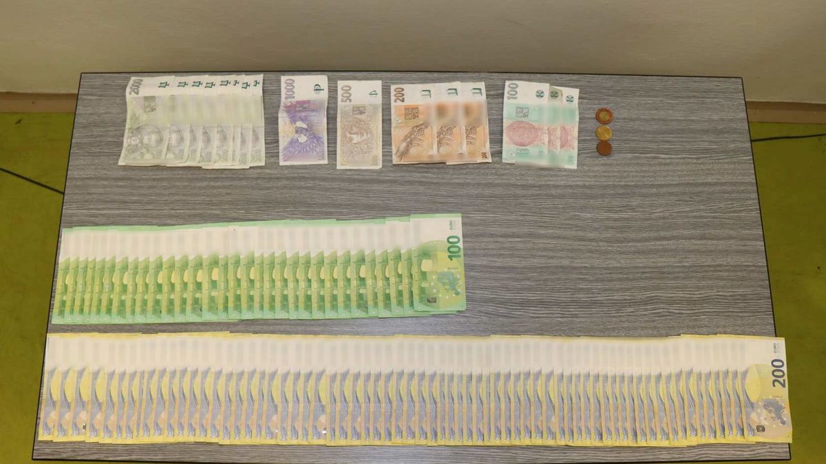 Měsíc na svobodě a už je znovu za mřížemi. Loupil v Německu, zadrželi ho v Olomouci